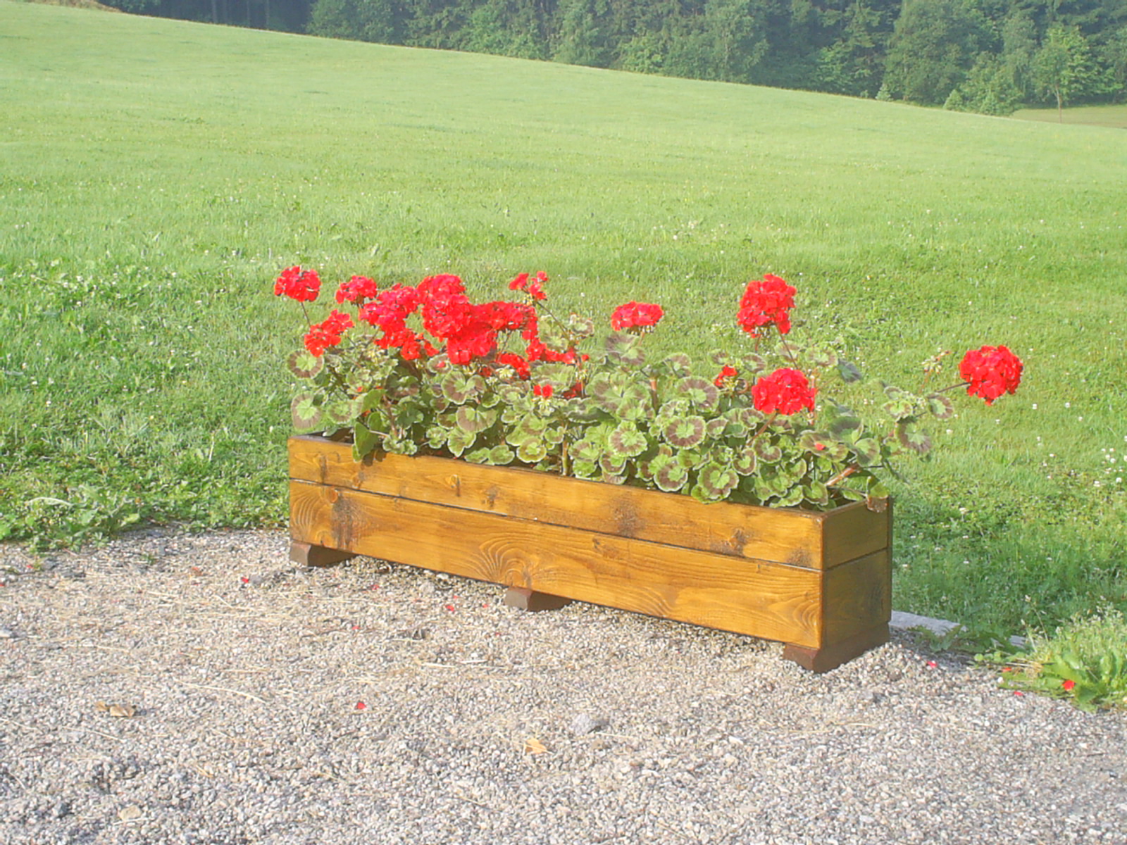 Květináč